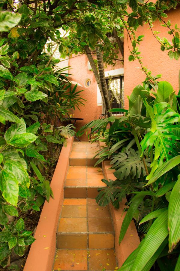 Raiz Hostel Медельїн Екстер'єр фото